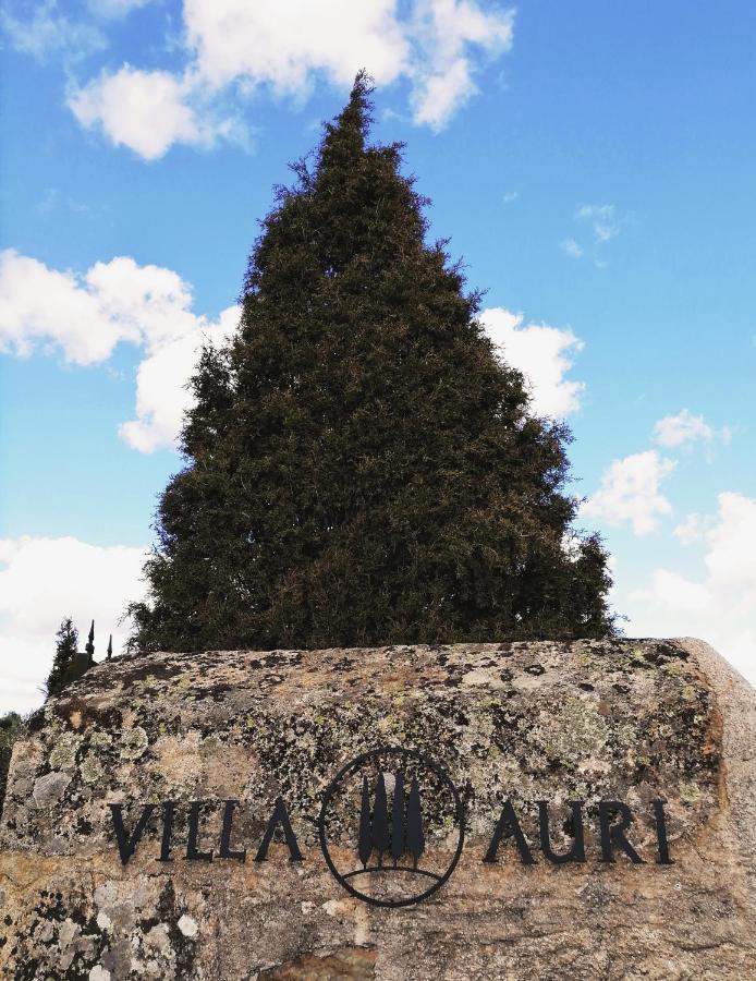 Villa Auri ヴィラ・ノーヴァ・デ・フォス・コア エクステリア 写真